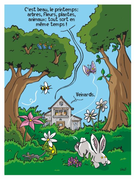 Happy birthday Earth Cartooning for Peace