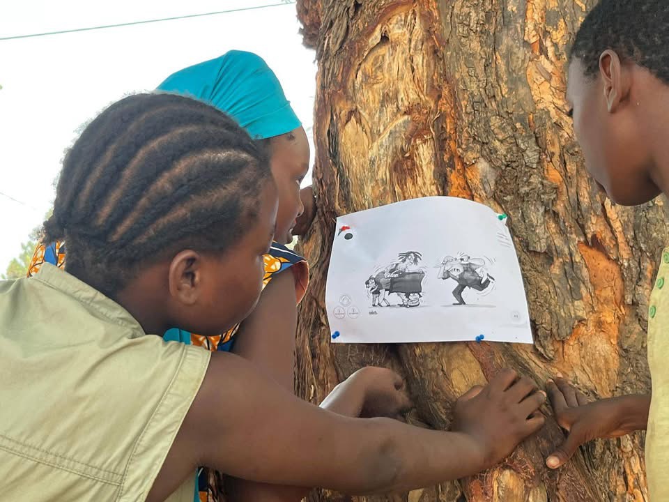 Raising awareness of violence against women through press cartoons by the Centre d’Etudes Musicales, Artisanales et d’Animation Culturelle (CEMAAC), February 2025